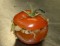 Vegetarisch gevulde tomaten